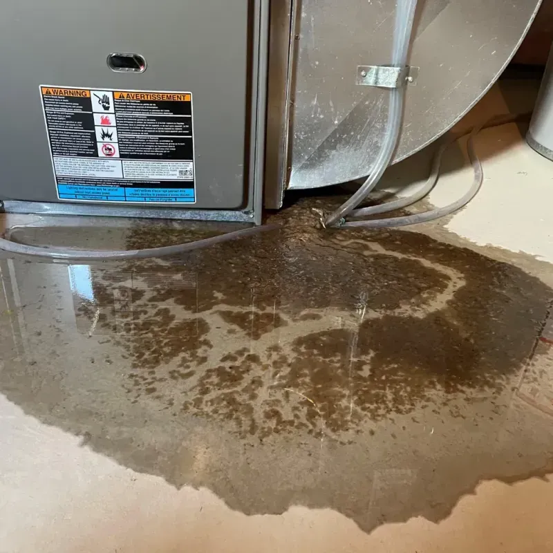 Appliance Leak Cleanup in North Pembroke, MA